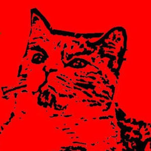 Meet your Posher, Timothy